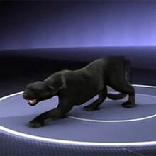 Monsterquest Cryptid Wiki Fandom