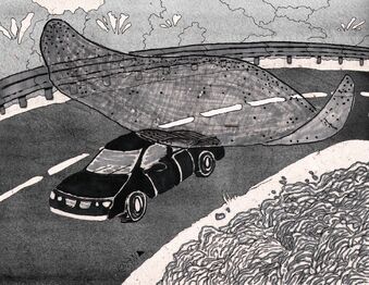 Flying Ray