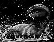 180px-220px-Dobhar-chu encounter