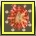 Orbgold