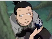 Bfgbb