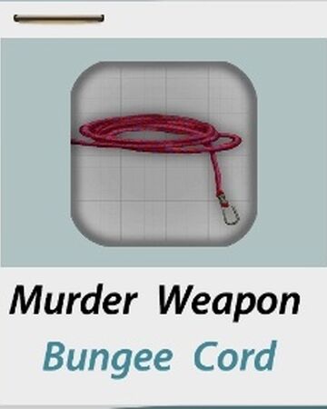 bungee cord wiki