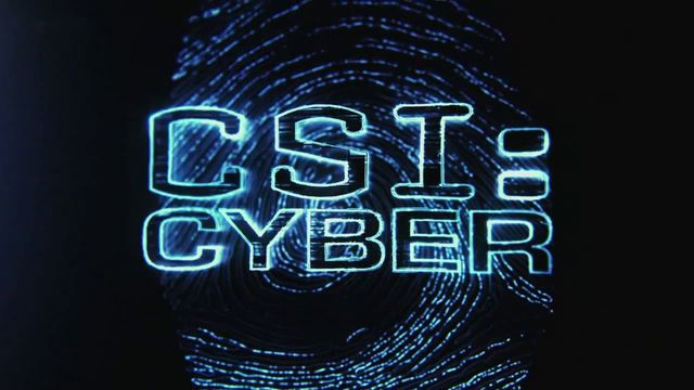 Datei:CSI Cyber.png