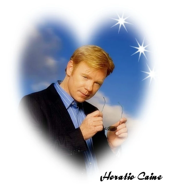 Image HoratioCainecsimiami9726232597651.jpg CSI FANDOM powered by Wikia