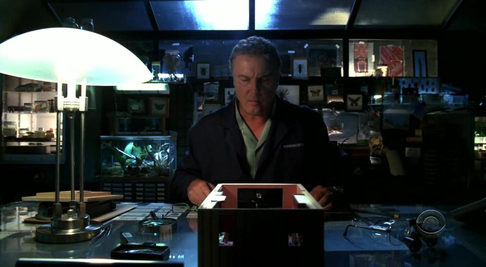 CSI:Crime Scene Investigation Season 7 | CSI | FANDOM powered by Wikia