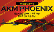Mainb 171019 AKMphoenix