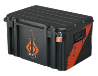 Bravo-case