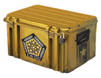 Chroma Weapon Case