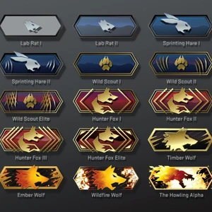 Dmg Rank Cs Go 2016 Dmg Rank Cs Go 2016