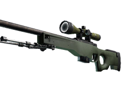 CSGO AWP Inventory