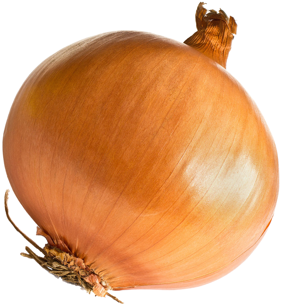 gvenet chan tor onion