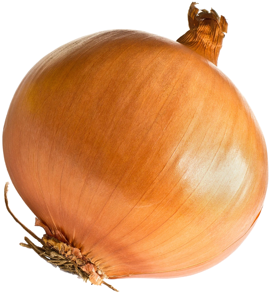Image Onion.png C.Syde's Wiki FANDOM powered by Wikia