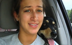 Zoey on Alli's shoulder