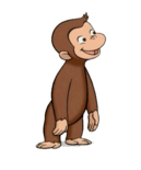 Wiki