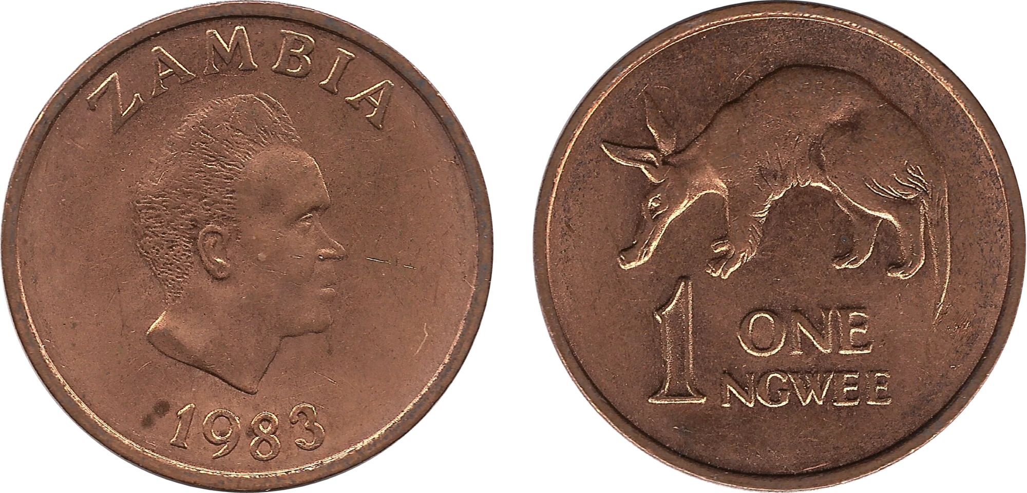 Zambian 1 Ngwee Coin Currency Wiki Fandom zambian-1-ngwee-coin-currency-wiki-fandom