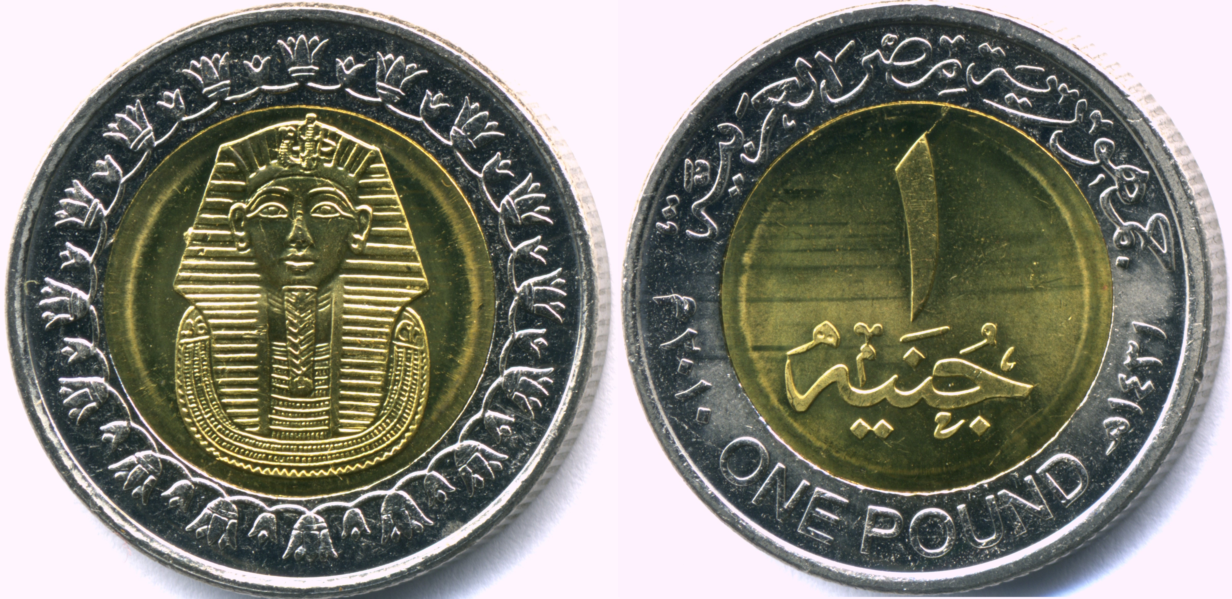 Egyptian 1 Pound Coin Currency Wiki Fandom Ed By Wikia Coin From 2010
