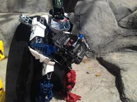 Tfp6-4