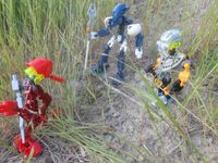 Tfp1-2