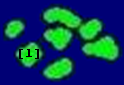 Sislands