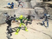 Tfp3-8