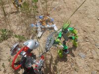 Tfp1-10