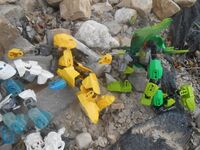 Tfp1-7
