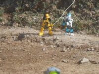Tfp1-5