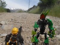 Tfp1-8