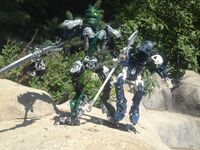 Tfp3-9