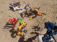 Tfp2-9