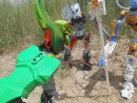 Tfp1-9