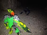 Tfp2-5
