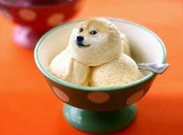 Ice Cream Doge Cute Doge Wikia Fandom - doge ice cream roblox