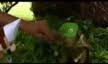 Cmb Baby Luigi and Candyman