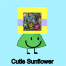 Cutiesunflower User Cutie Sunflower Wiki Fandom