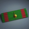 SOI ribbon
