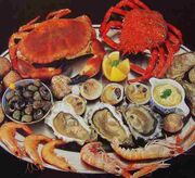 Seafood cusine