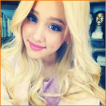 ariana grande wig