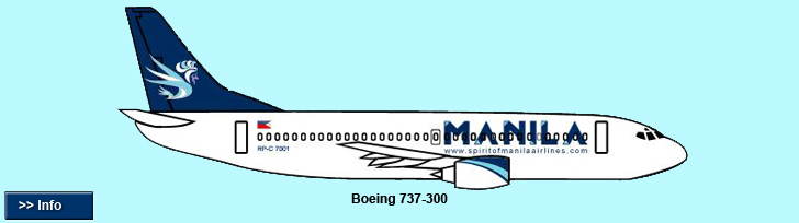 B737temp