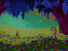 Perfectamundo rainbow field (2)