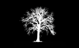 Flag of Solitude -Humility-