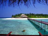 Tropics