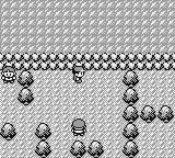 Tpfpokemon