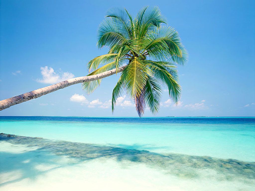 Image Free Beach Wallpaper Jpg Cyber Nations Wiki Fandom Free Beach Wallpaper Jpg