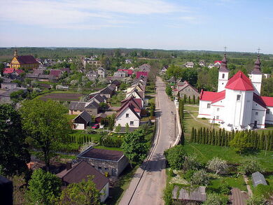 Varniai1.2009-05-21