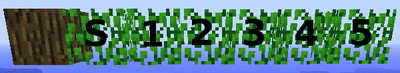 LeavesSupport