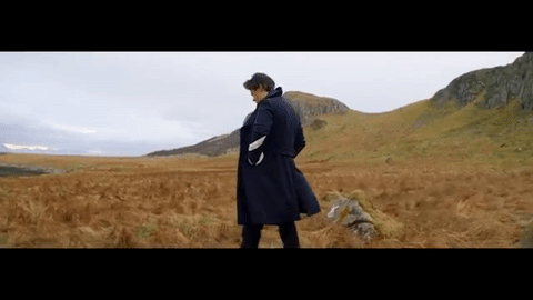 harry styles sign of the times gif