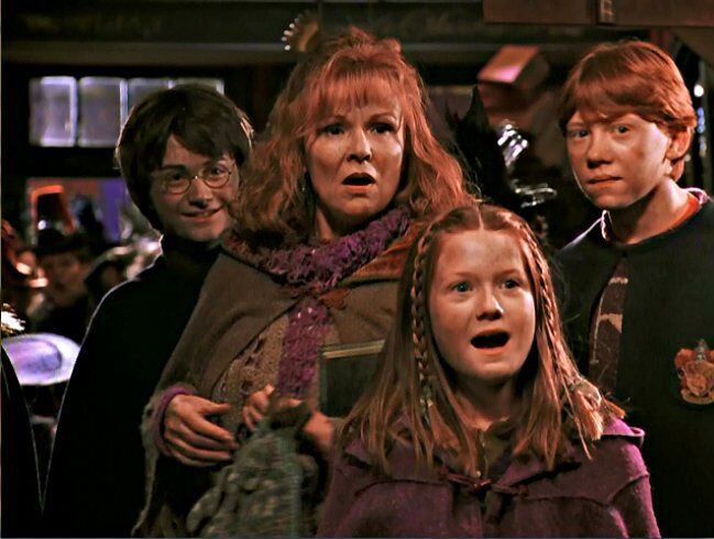 Harry and The Weasleys
