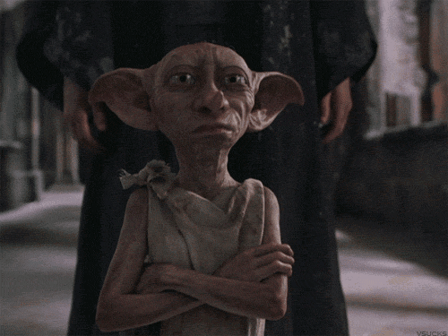 dobby-learns-lesson