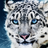 Bluedragon2513's avatar
